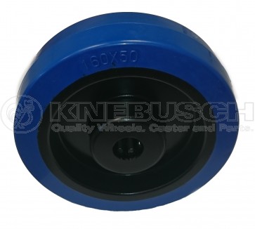 Rad EBK/100/36/2/12 mit VA-Rollenlager